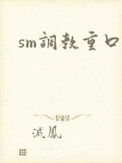 sm调教重口文