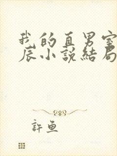 我的直男室友张辰小说结局