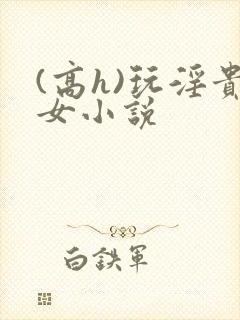 (高h)玩淫贵女小说封面