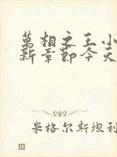 万相之王小说最新章节今天