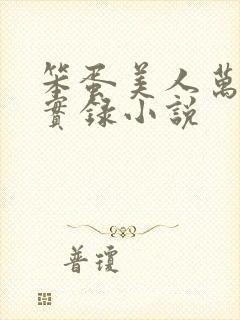 笨蛋美人万人迷实录小说封面