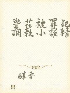 警花被罪犯下药调教小说精选