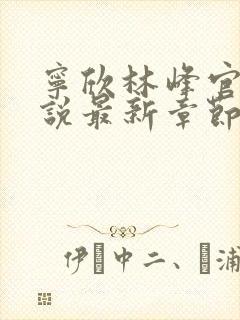 宁欣林峰官场小说最新章节更新时间