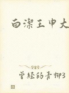 白洁王申大结局封面