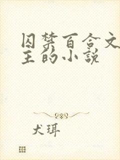 囚禁百合文双女主的小说