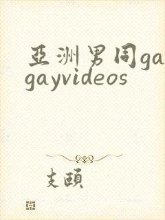 亚洲男同gaygayvideos