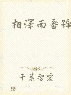 相泽南番号大全