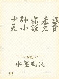 少帅你老婆要翻天小说免费阅读