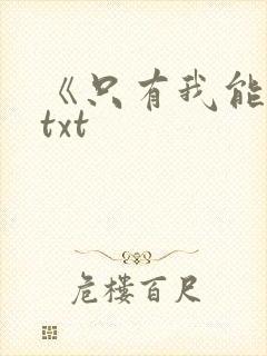 《只有我能看》txt