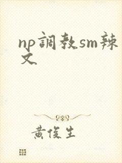 np调教sm辣文