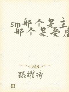 sm哪个是主人 哪个是受虐