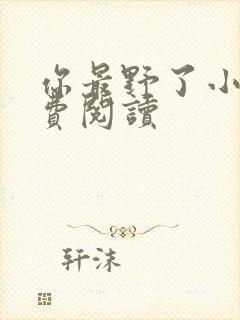 你最野了小说免费阅读