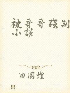 被哥哥强制爱了小说封面