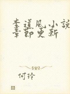 李道风小说最新章节更新封面