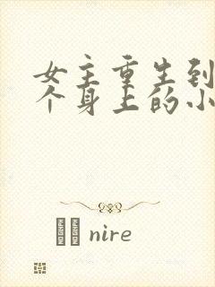 女主重生到另一个身上的小说封面