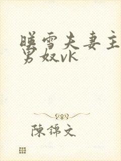 映雪夫妻主调教男奴vk封面