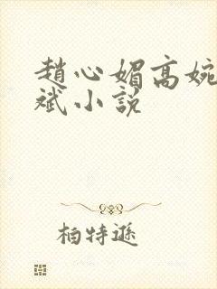 赵心媚高婉君陈斌小说封面