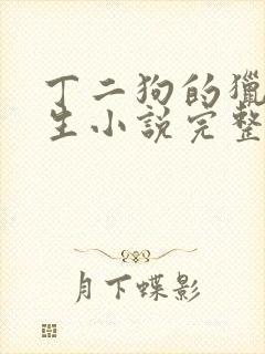 丁二狗的猎艳人生小说完整版