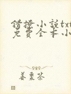 错撩小说txt免费全本小说封面