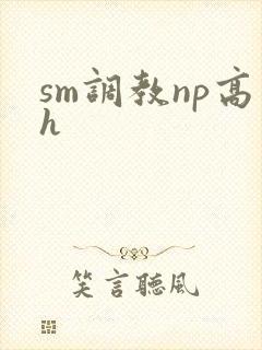 sm调教np高h