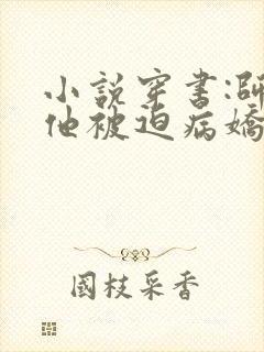 小说穿书:师尊他被迫病娇了下载