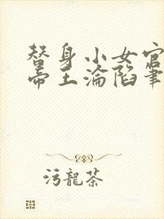 替身小女官腹黑帝王沦陷笔趣阁