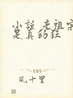 小说 老祖宗她是真的狂