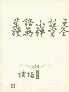 叶锋小说免费阅读无弹窗全文封面