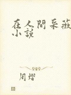 在人间采薇养父小说