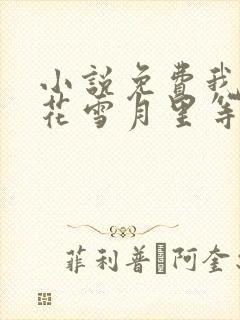 小说免费我在风花雪月里等你