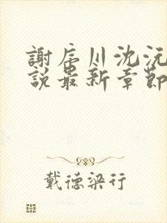 谢序川沈沅珠小说最新章节免费阅读