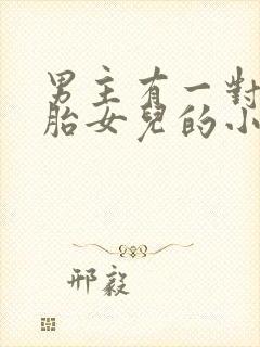 男主有一对双胞胎女儿的小说