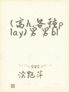 (高h,各种play)男男bl