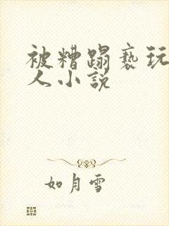 被糟蹋亵玩的美人小说封面