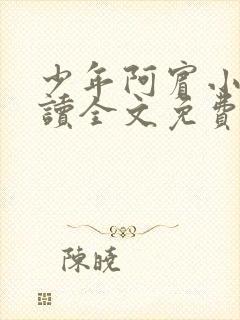 少年阿宾小说阅读全文免费无删减