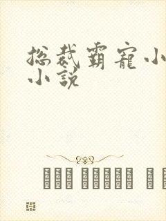 总裁霸宠小甜妻小说