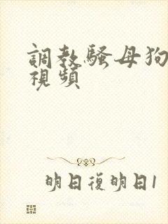 调教骚母狗在线视频