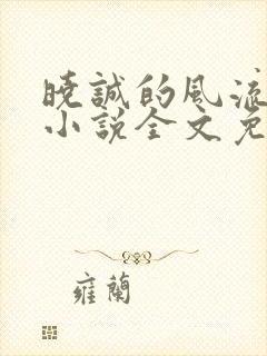 晓诚的风流人生小说全文免费阅读最