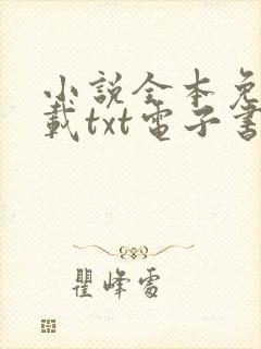 小说全本免费下载txt电子书txt