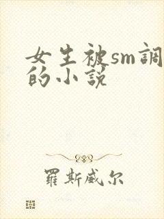 女生被sm调教的小说封面