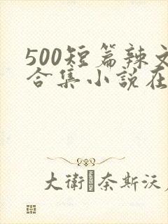 500短篇辣文合集小说在线阅读