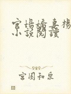 官场娇妻杨玉婷小说阅读