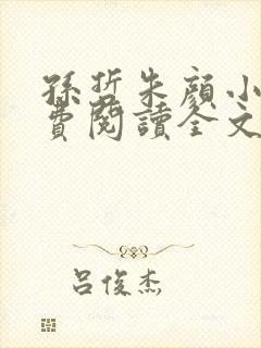 孙哲朱颜小说免费阅读全文最新章节