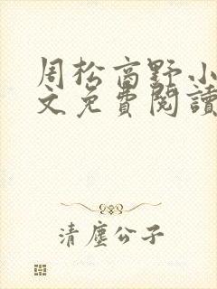 周松商野小说全文免费阅读