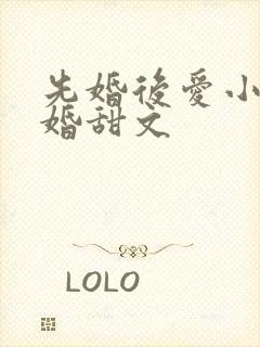 先婚后爱小说军婚甜文