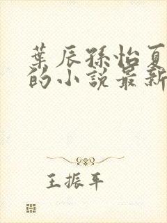 叶辰孙怡夏若雪的小说最新