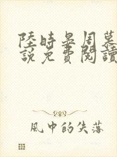 陆时晏周慕雪小说免费阅读最新章节