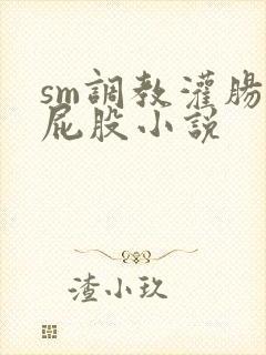 sm调教灌肠打屁股小说封面