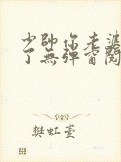 少帅你老婆又跑了无弹窗阅读封面