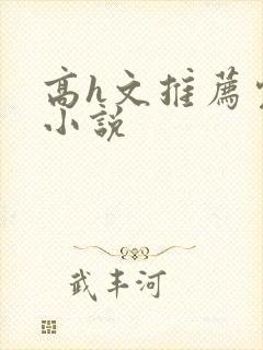 高h文推荐完结小说